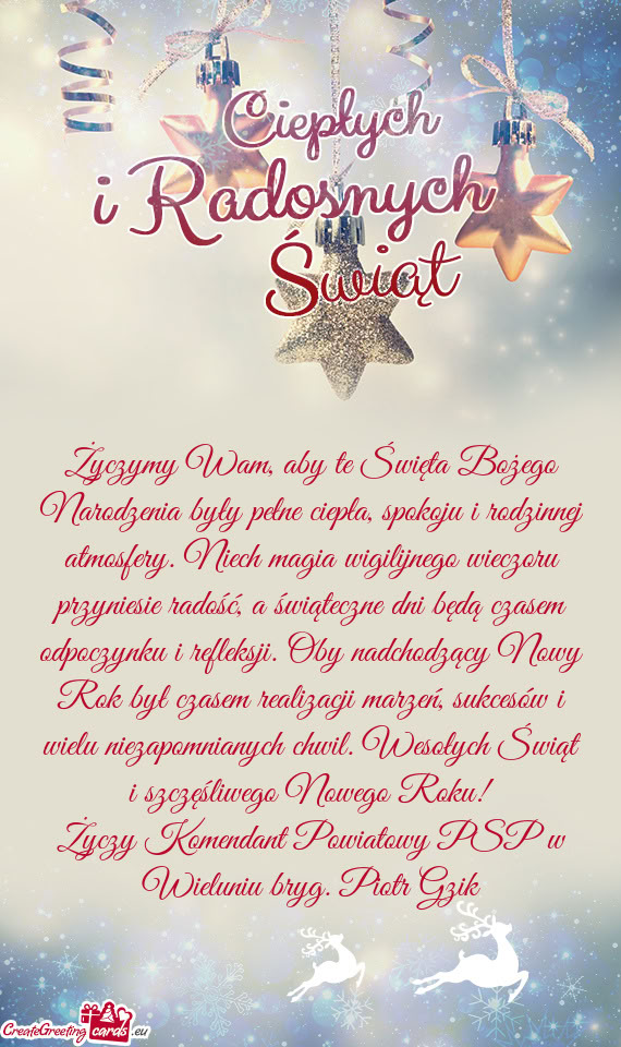 Komendant Powiatowy PSP w Wieluniu bryg. Piotr Gzik