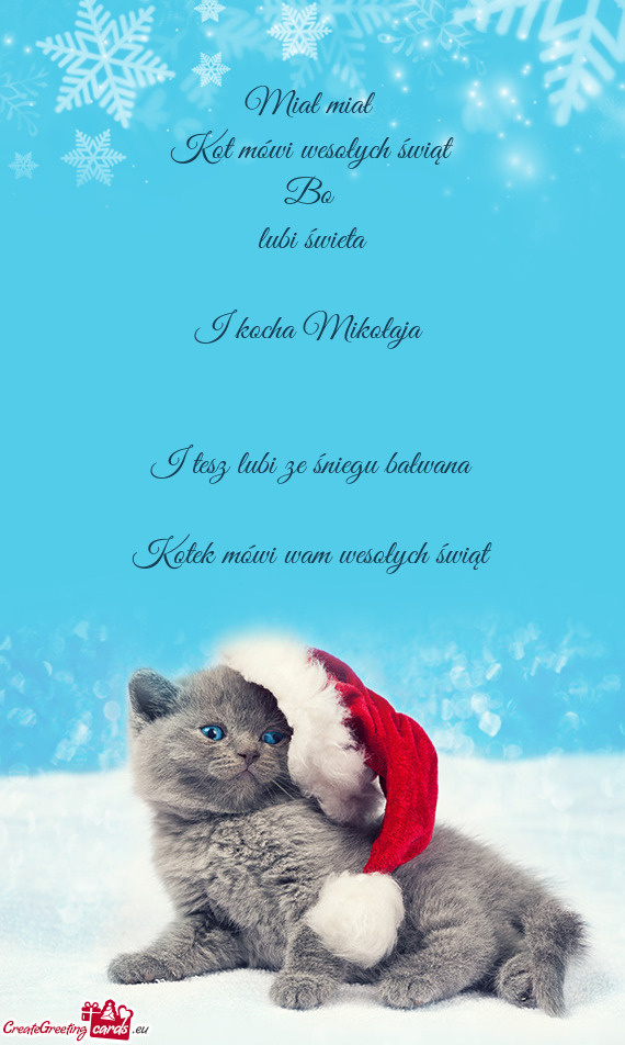 Kot mówi wesołych świąt