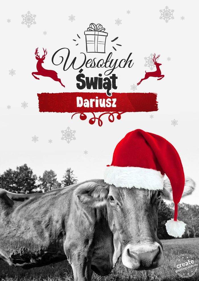 Krowa - Wesołych Świąt Dariusz
