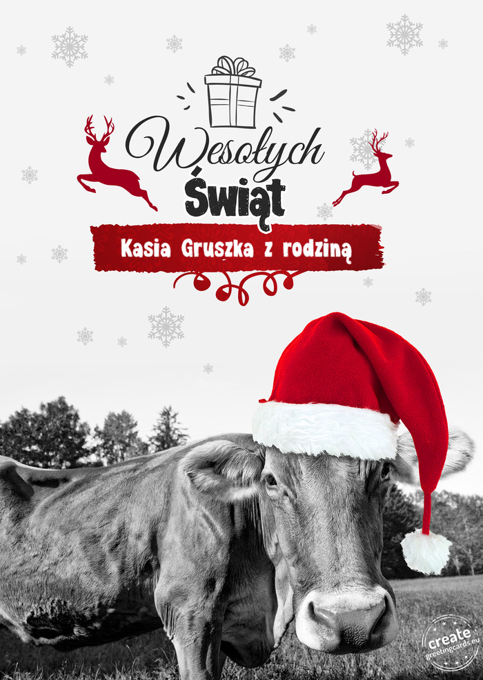 Krowa - Wesołych Świąt Kasia Gruszka z rodziną