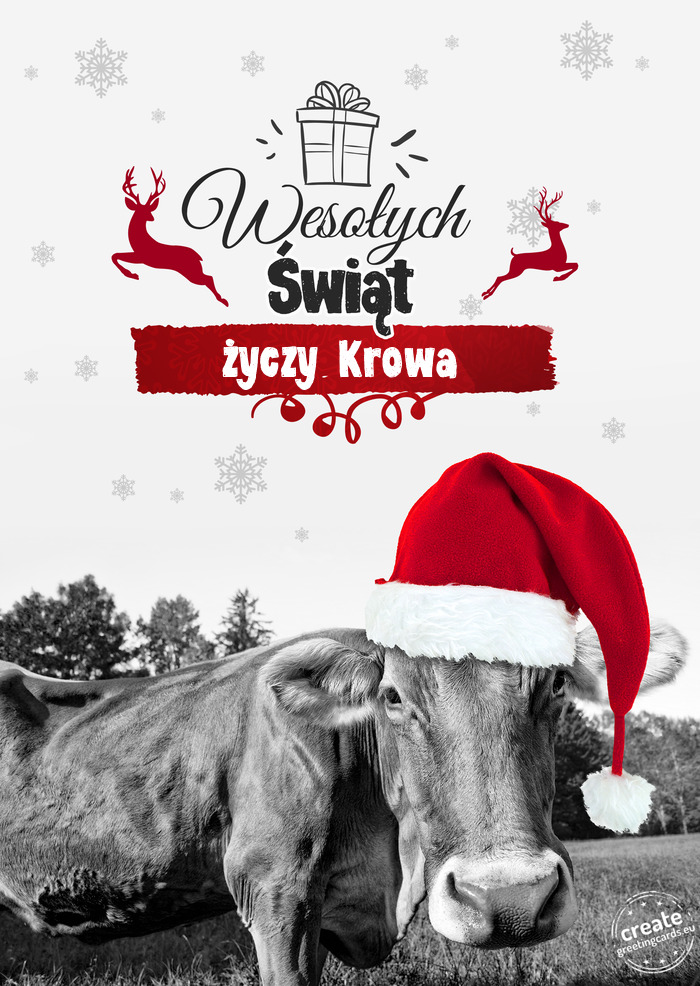 Krowa - Wesołych Świąt Krowa