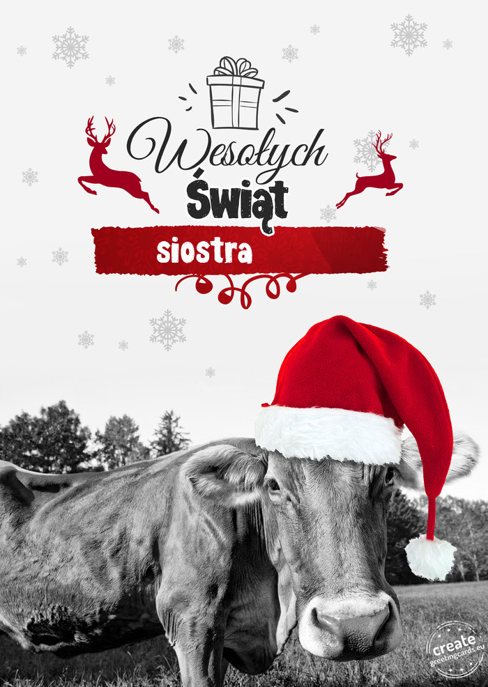 Krowa - Wesołych Świąt siostra 😘😘😘