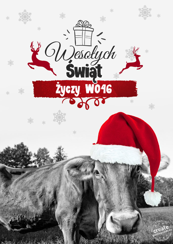 Krowa - Wesołych Świąt W046
