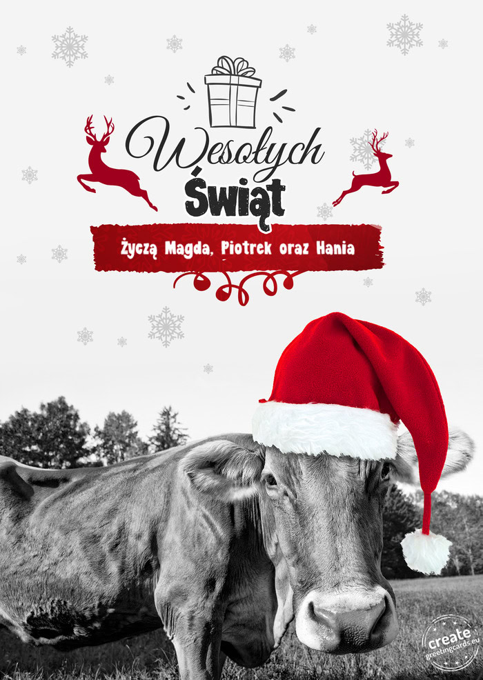 Krowa - Wesołych Świąt Życzą Magda, Piotrek oraz Hania