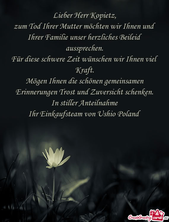 Lieber Herr Kopietz