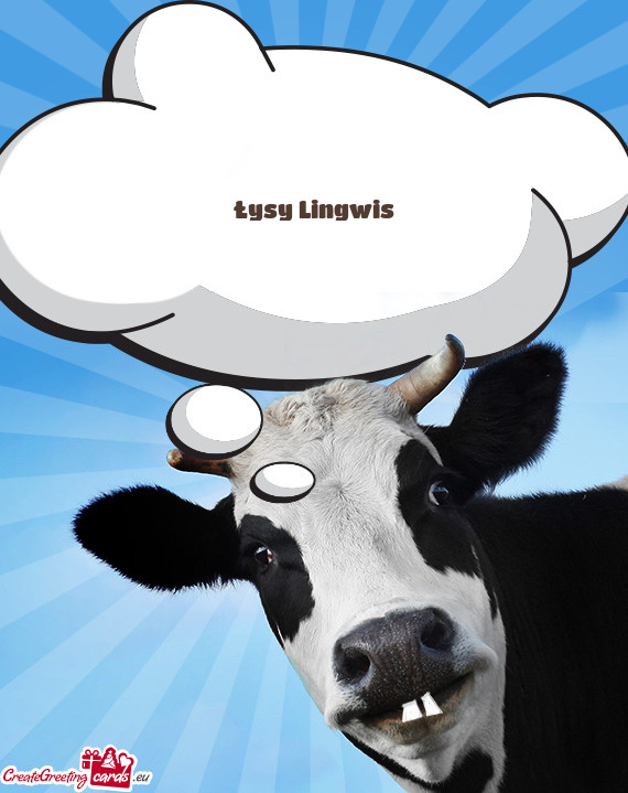 Łysy Lingwis
