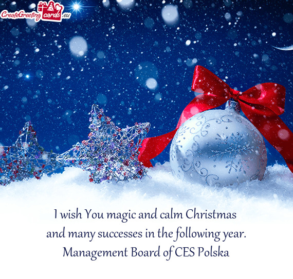 Management Board of CES Polska