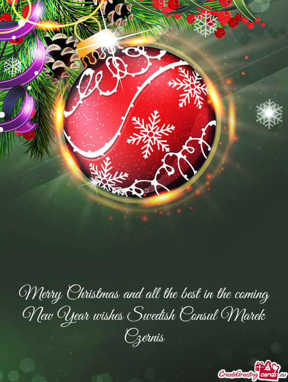 Merry Christmas and all the best in the coming New Year wishes Swedish Consul Marek Czernis