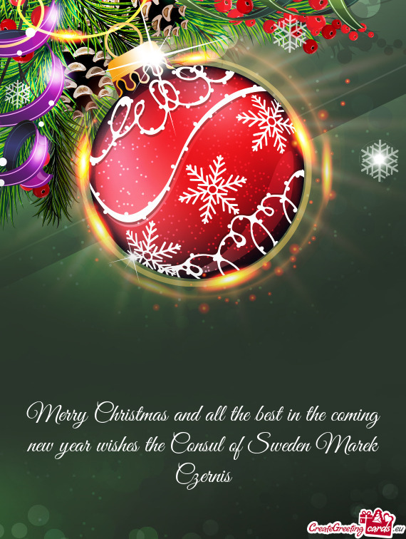 Merry Christmas and all the best in the coming new year wishes the Consul of Sweden Marek Czernis