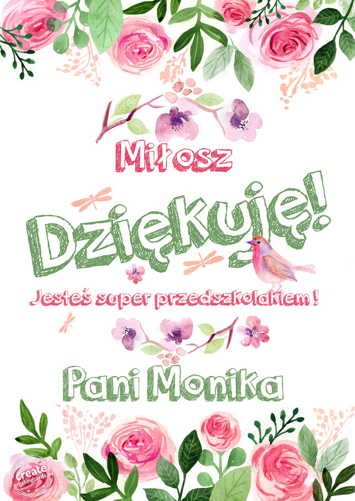 Miłosz Dziękuje Jesteś super przedszkolakiem ! Pani Monika