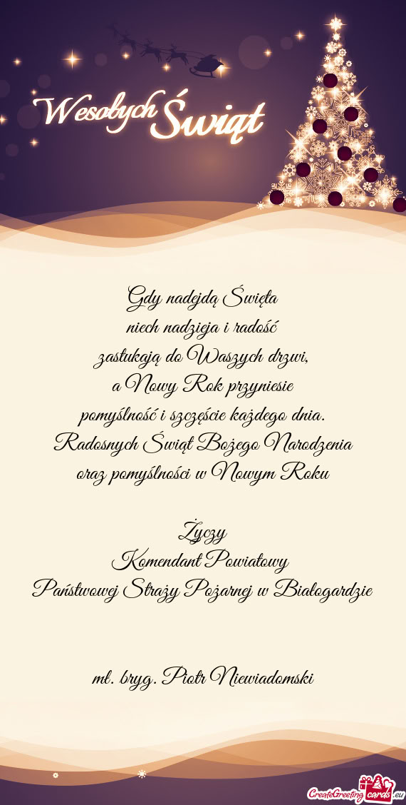 Mł. bryg. Piotr Niewiadomski