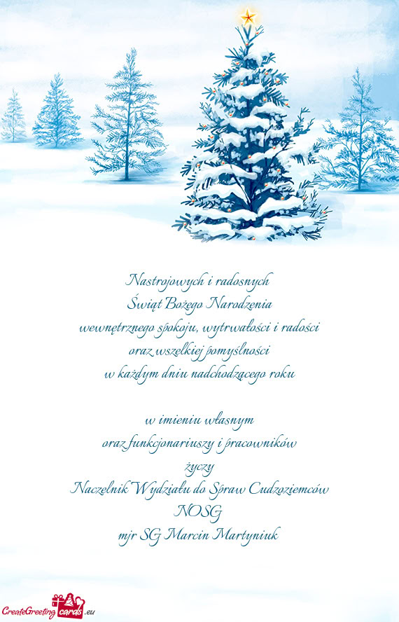 Naczelnik Wydziału do Spraw Cudzoziemców NOSG