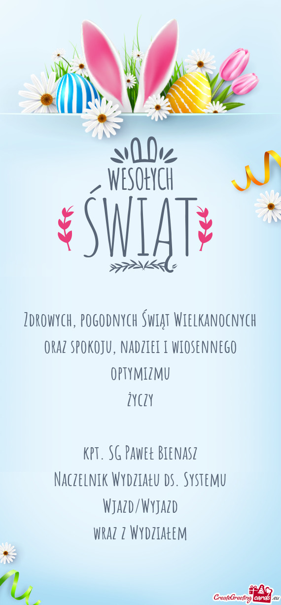 Naczelnik Wydziału ds. Systemu Wjazd/Wyjazd