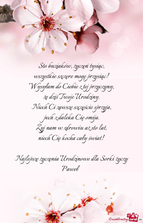 Najlepsze życzenia Urodzinowe dla Sorki Paweł 😙