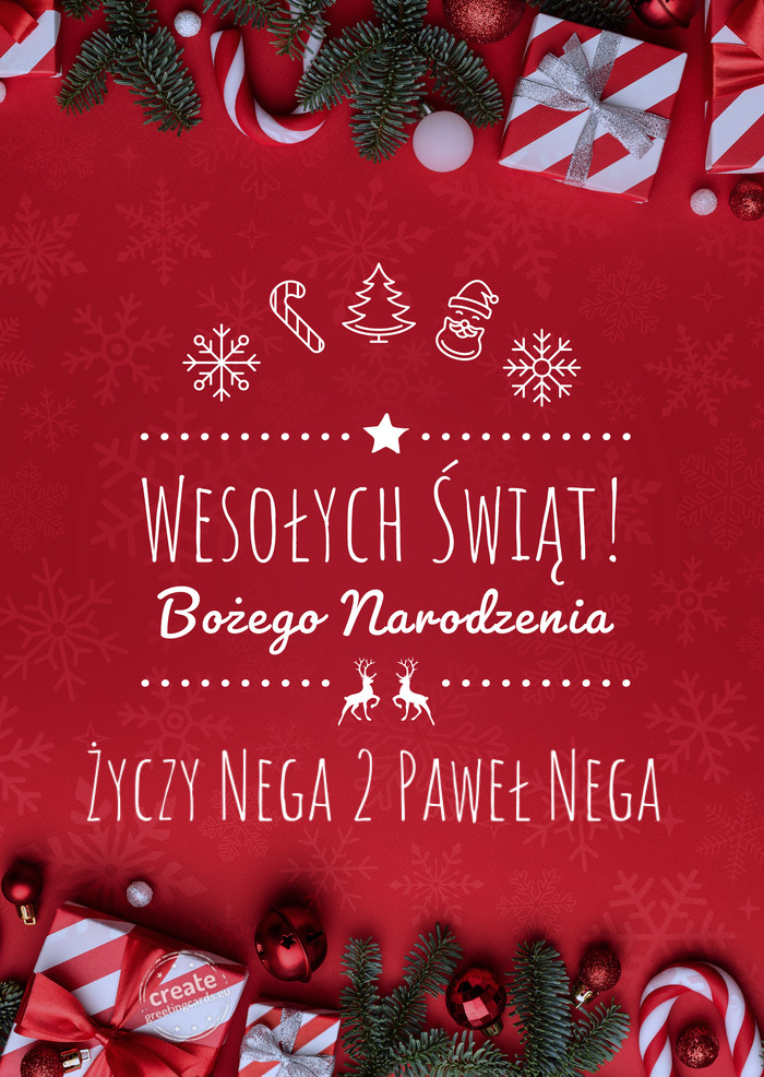 Nega 2 Paweł Nega