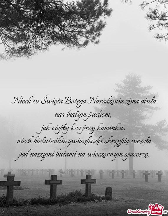 Niech w Święta Bożego Narodzenia zima otula nas białym puchem,   jak