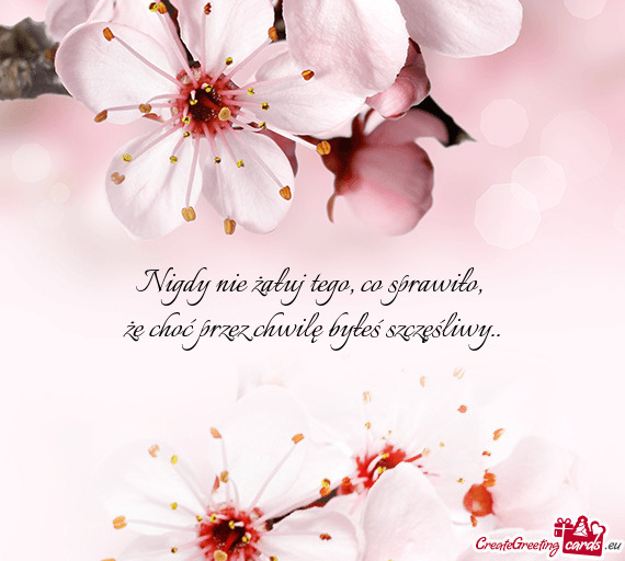 Nigdy nie żałuj tego, co sprawiło