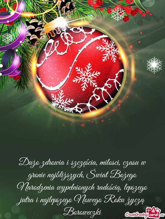 Nionych radością, lepszego jutra i najlepszego Nowego Roku życzą Boroweczki