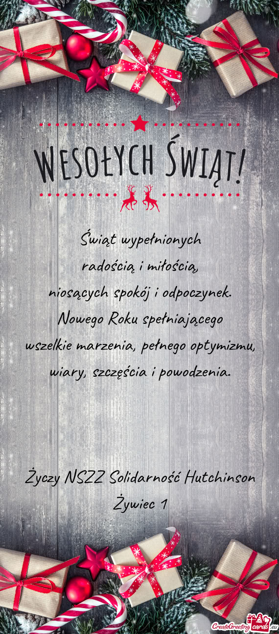 NSZZ Solidarność Hutchinson Żywiec 1