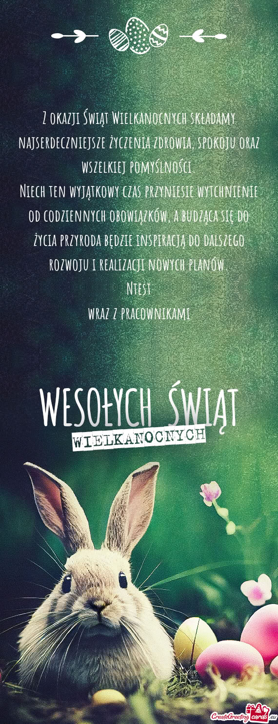 Ntest wraz z pracownikami