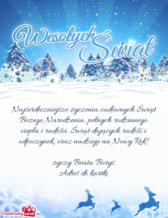 Oraz nadzieję na Nowy Rok! Beata Borys Adres do kartki