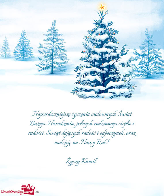 Oraz nadzieję na Nowy Rok! Kamil