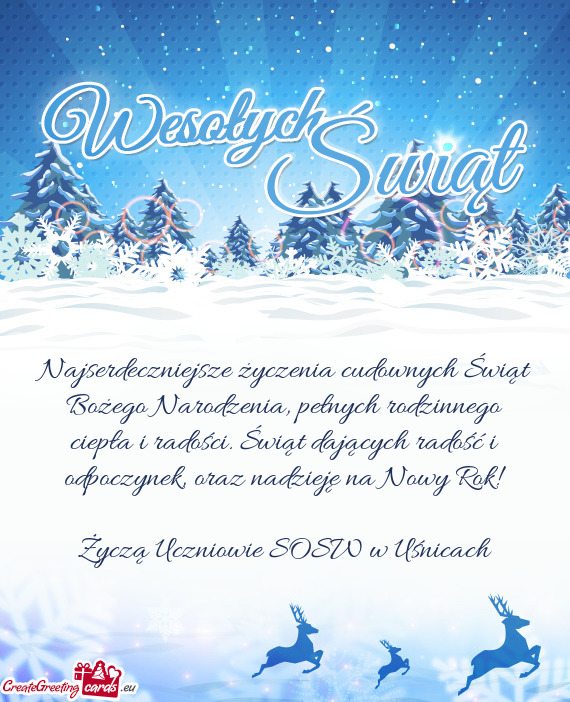 Oraz nadzieję na Nowy Rok! Życzą Uczniowie SOSW w Uśnicach