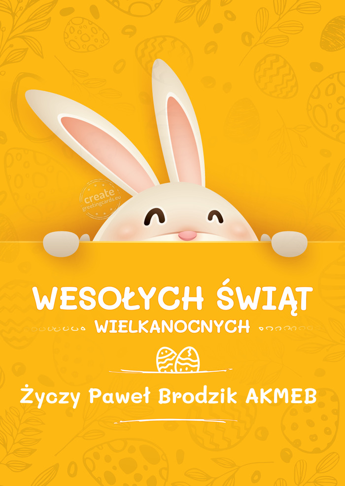 Paweł Brodzik "AKMEB"