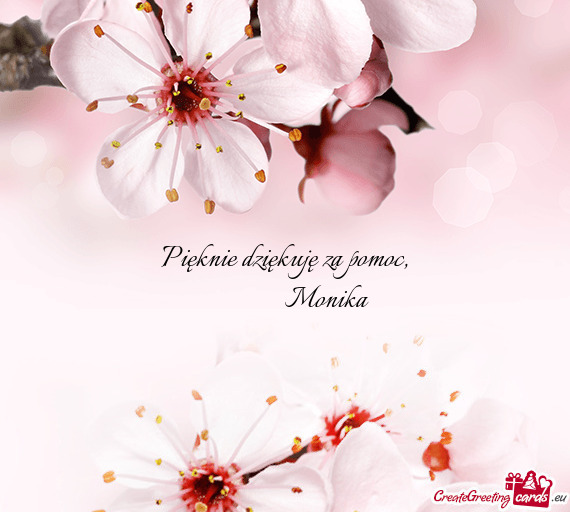 Pięknie dziękuję za pomoc,                Monika