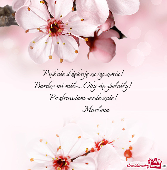 Pięknie dziękuję za życzenia! Bardzo mi miło