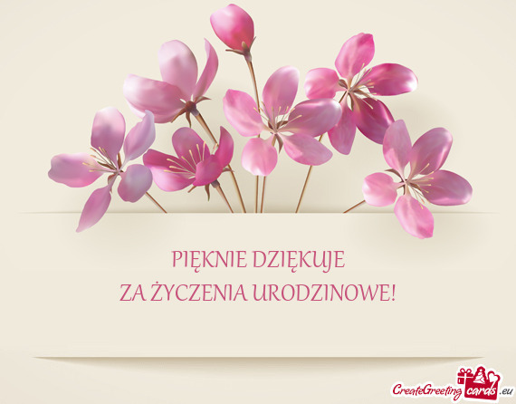 PIĘKNIE DZIĘKUJE  ZA ŻYCZENIA URODZINOWE!
