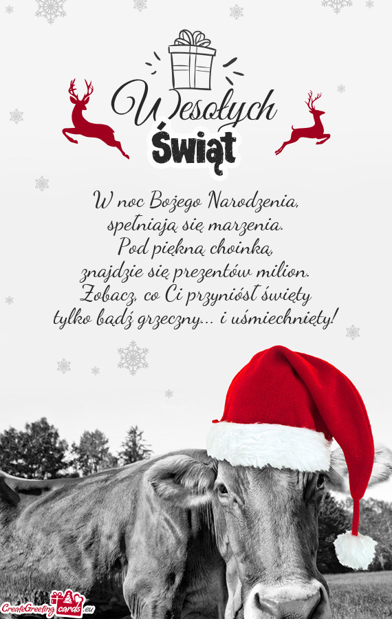 Pod piękną choinką