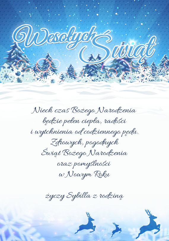Pogodnych Świąt Bożego Narodzenia oraz pomyślności w Nowym Roku Sybilla z rodzin