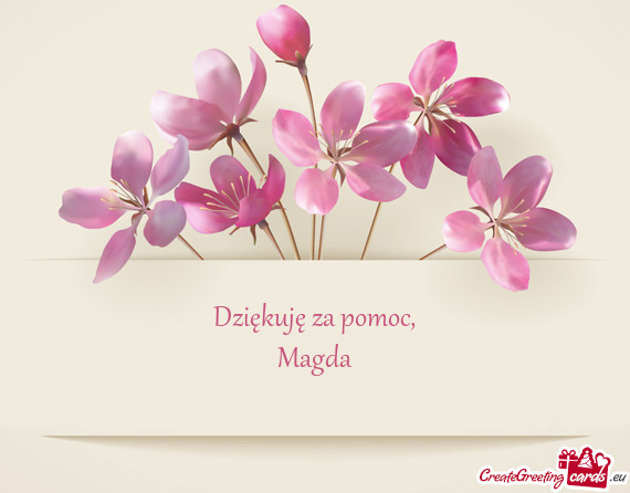 Pomoc, Magda