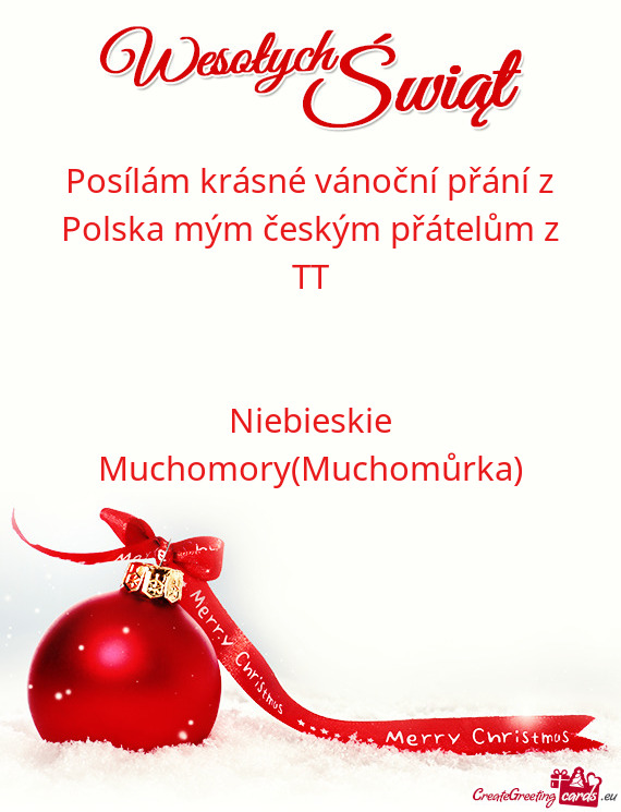 Posílám krásné vánoční přání z Polska mým českým přátelům z TT