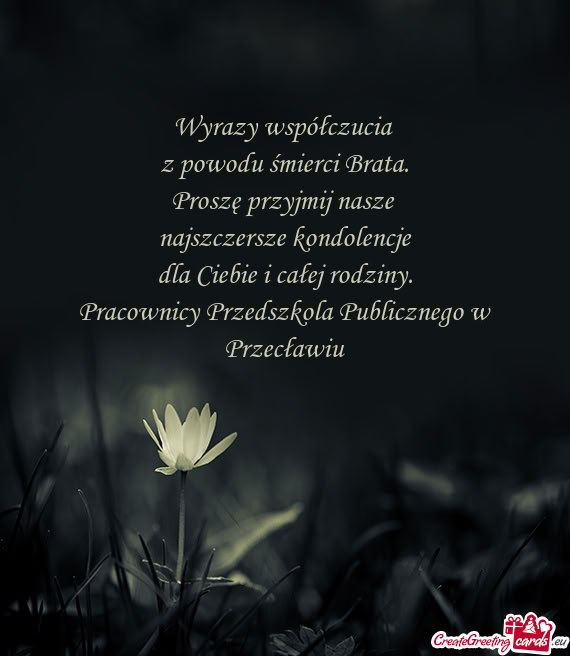 Pracownicy Przedszkola Publicznego w Przecławiu