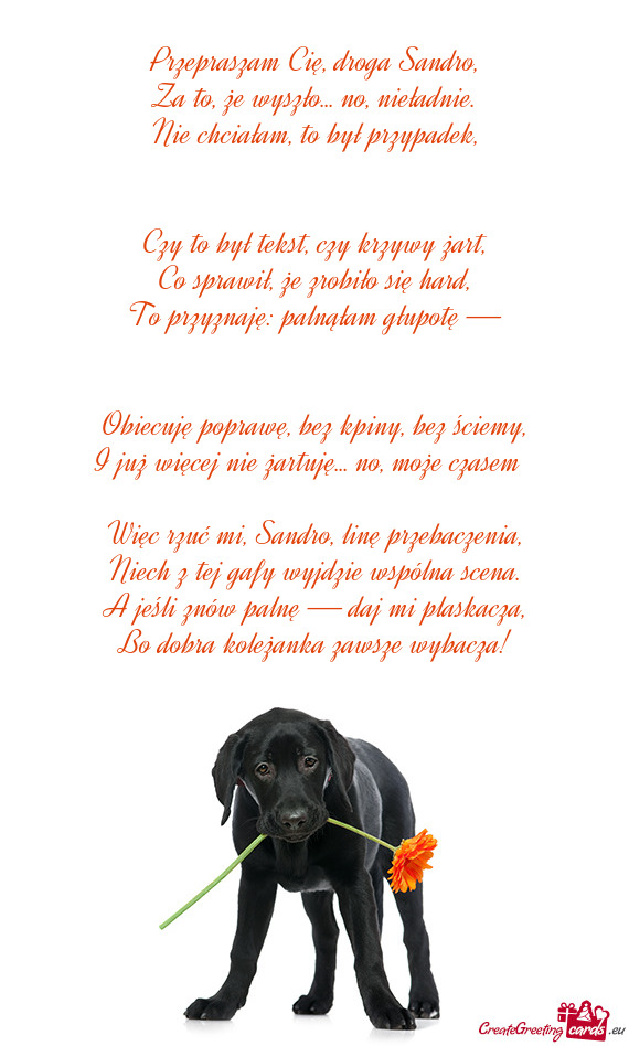 Przepraszam Cię, droga Sandro