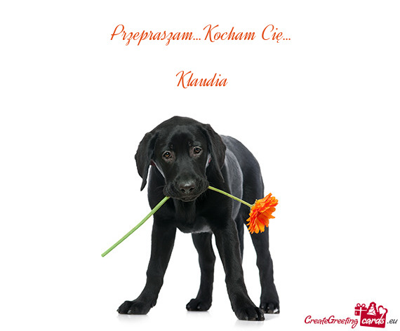 Przepraszam...Kocham