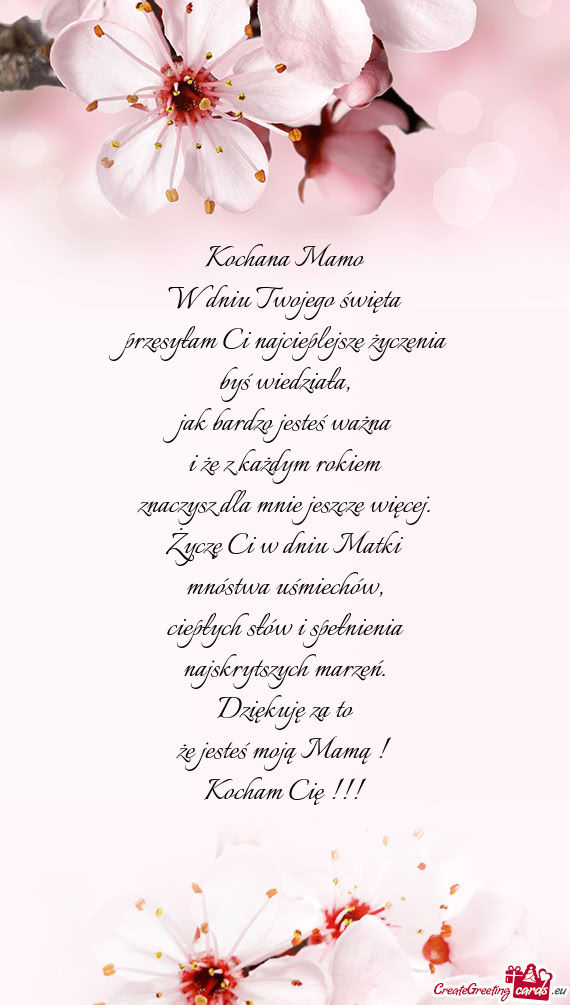 Przesyłam Ci najcieplejsze życzenia