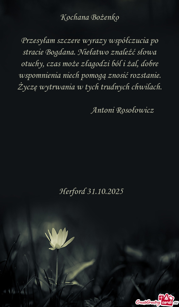Przesyłam szczere wyrazy współczucia po stracie Bogdana. Niełatwo znaleźć słowa otuchy, czas