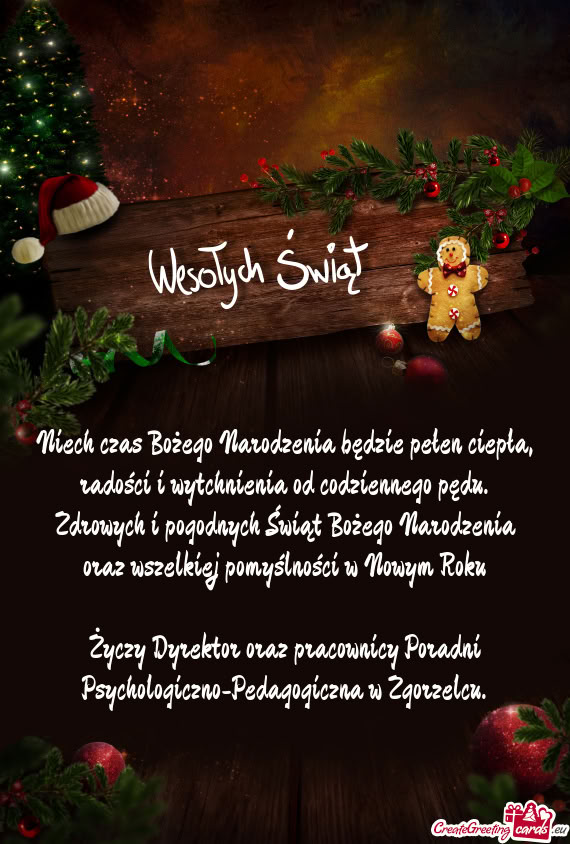 Psychologiczno-Pedagogiczna