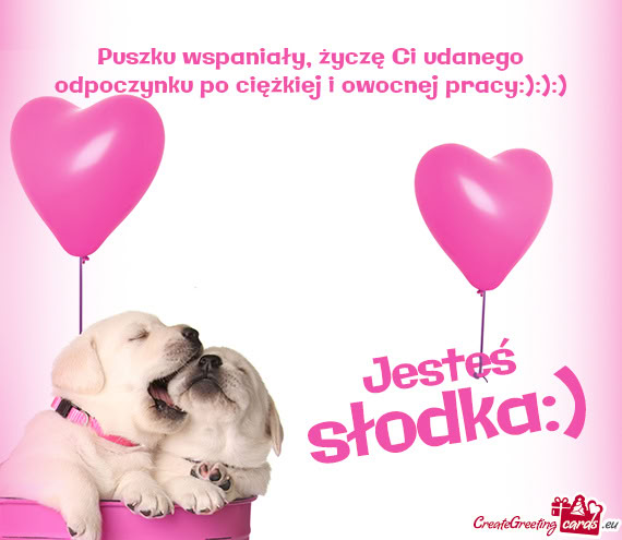 Puszku wspaniały, życzę Ci udanego odpoczynku po ciężkiej i owocnej pracy:):):)
