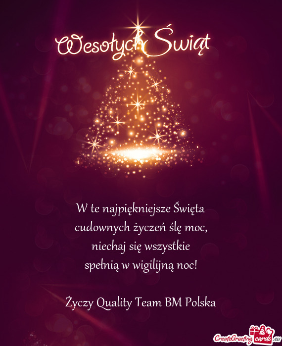 Quality Team BM Polska