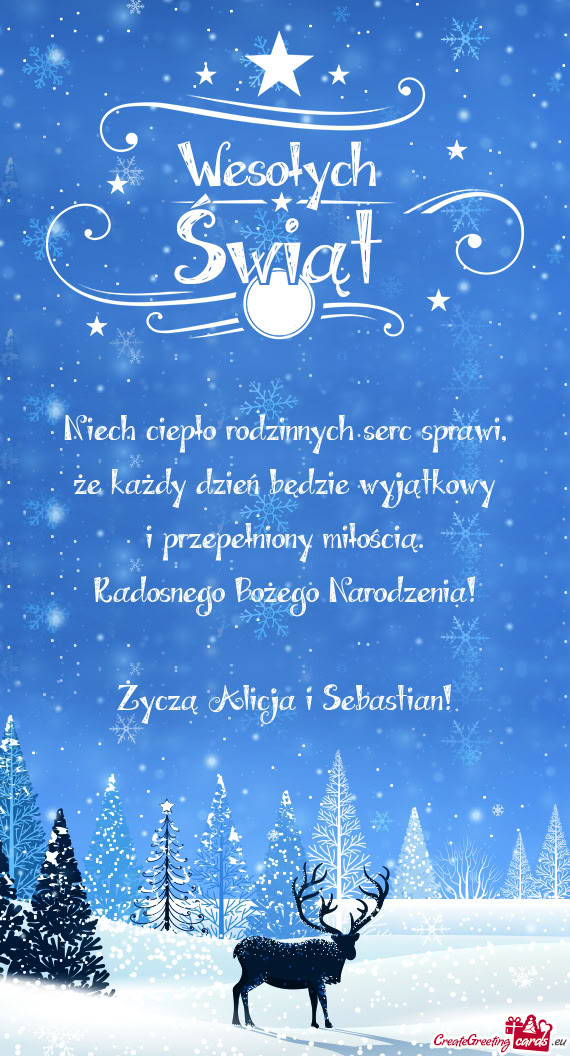 Radosnego Bożego Narodzenia! Życzą Alicja i Sebastian