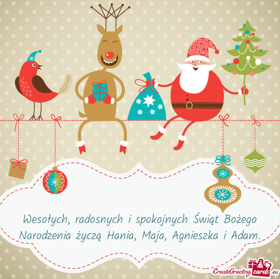 Radosnych i spokojnych Świąt Bożego Narodzenia życzą Hania