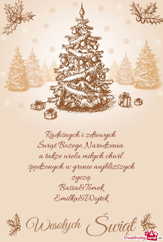 Radosnych i zdrowych  Świąt Bożego Narodzenia  a także wielu miłych chwil  spędzonych w gro