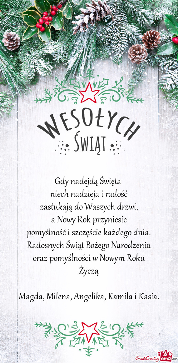 Radosnych Świąt Bożego Narodzenia oraz pomyślności w Nowym Roku Życzą Magda