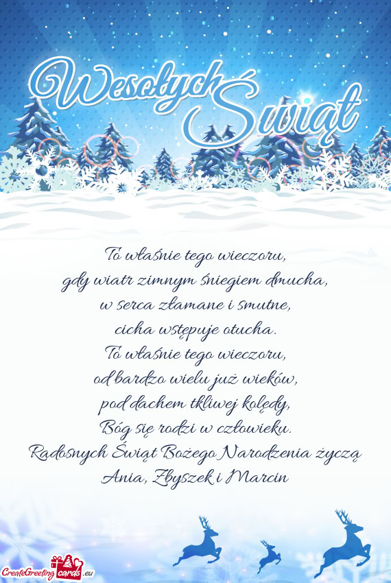 Radosnych Świąt Bożego Narodzenia życzą Ania, Zbyszek i Marcin