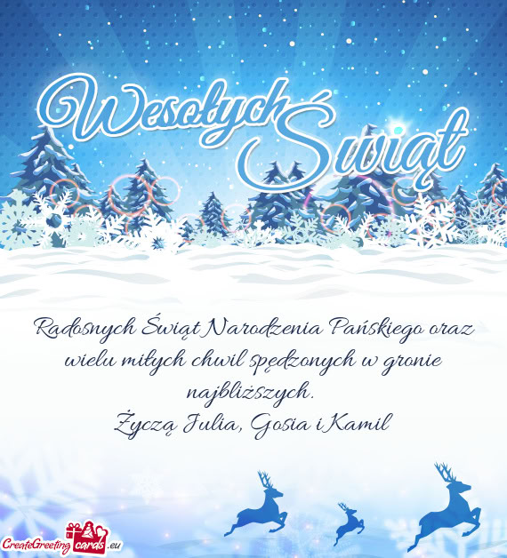 Radosnych Świąt Narodzenia Pańskiego oraz wielu miłych chwil spędzonych w gronie najbliższych
