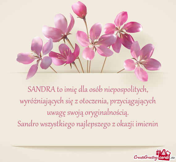 SANDRA to imię dla osób niepospolitych, wyróżniających się z otoczenia, przyciągających uwag